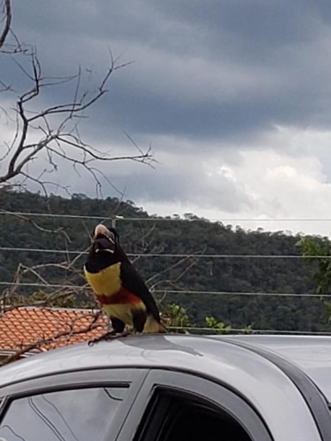 Pousada Canto Dos Passaros Pirenópolis Kültér fotó